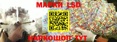 спиды Новодвинск