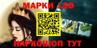спиды Новодвинск