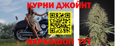 МДПВ Новокубанск