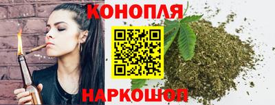 спиды Новодвинск