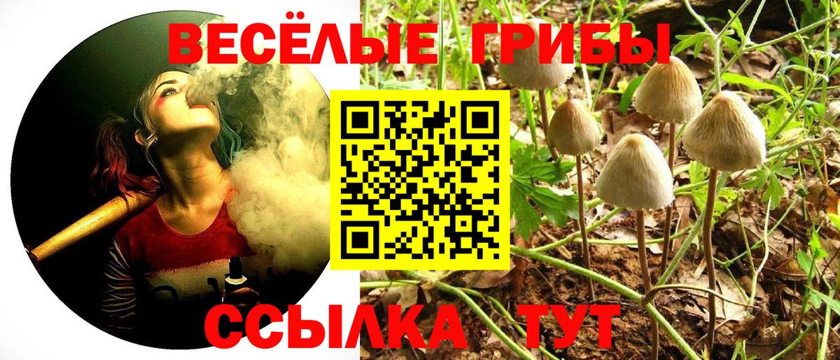 Славгород  Псилоцибиновые грибы Cubensis  Вход с VPN  Галлюциногенные грибы Psilocybe 